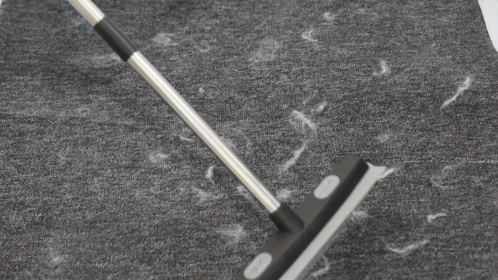 Pet Hair Rubber Broom With Carpet Rake And Squeegee, 2 In 1 Floor Brush For Carpet